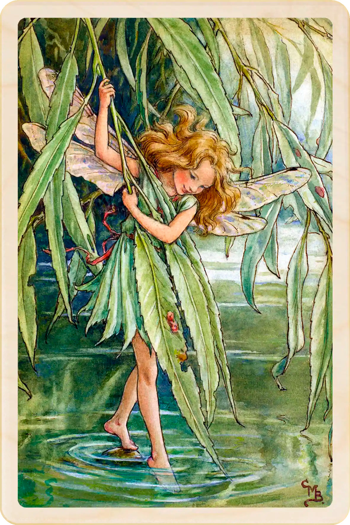 Willow Tree Fairy, Cicely Mary Barker’s classic botanical illustration. The Wooden Postcard Company