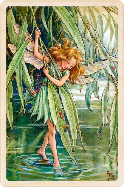 Willow Tree Fairy, Cicely Mary Barker’s classic botanical illustration. The Wooden Postcard Company