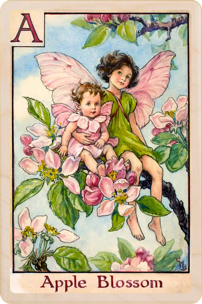Apple Blossom Flower Fairy, wooden postcard to send, to gift, or to keep and display. The Wooden Postcard Company