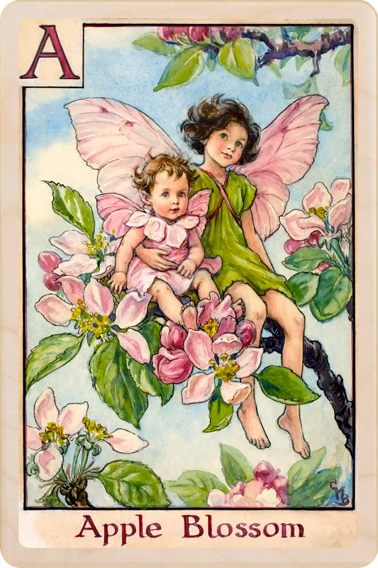 Apple Blossom Flower Fairy, wooden postcard to send, to gift, or to keep and display. The Wooden Postcard Company
