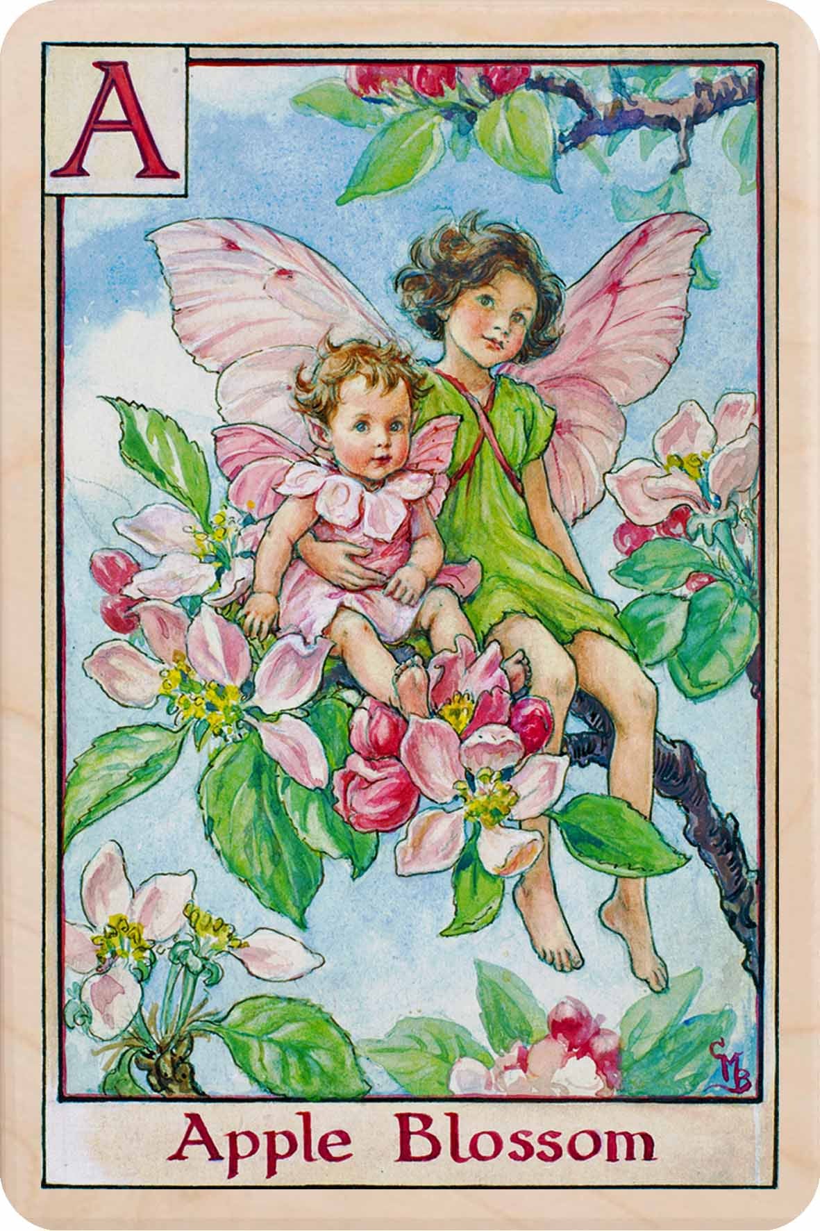 The Alphabet Flower Fairies | The Wooden Postcard Company – THE 