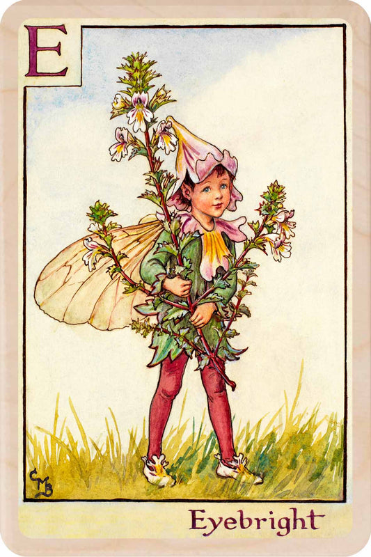 E - Eyebright Fairy – Alphabet Flower Fairies™ Wooden Postcard
Original Flower Fairies™ illustration by Cicely Mary Barker, printed in Suffolk on sustainable wood. Part of the Alphabet Fairy collection—made to send, keep and display.