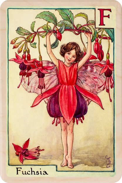 Fuchsia Flower Fairy, wooden postcard to send, to gift, or to keep and display. The Wooden Postcard Company