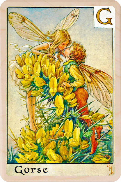 
Gorse Fairy from the Alphabet Flower Fairies™ by Cicely Mary Barker. Printed in Suffolk with fine detail and vibrant colour. Handmade in the UK since 2012.