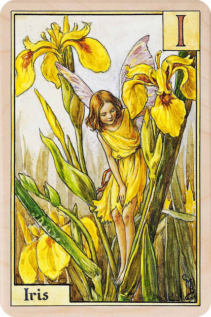 I Iris Fairy