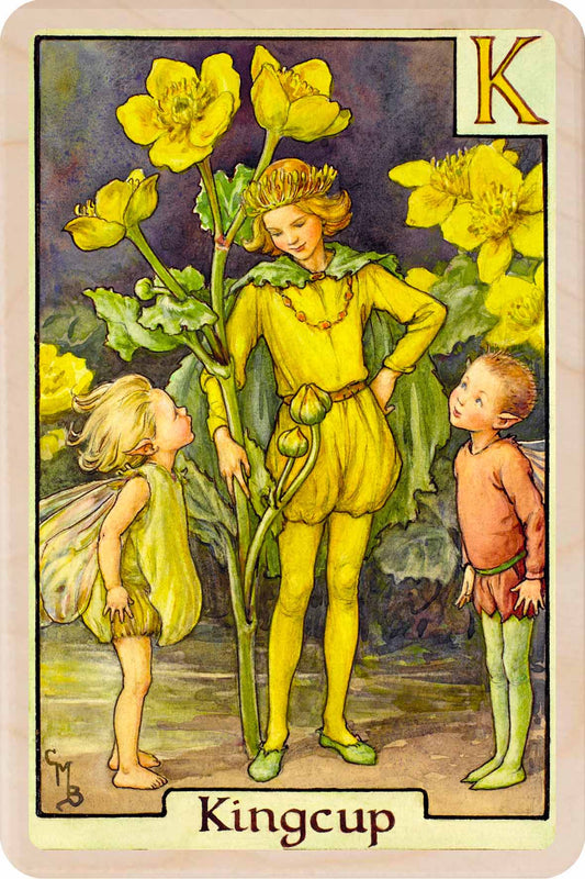 K - Kingcup Fairy – Alphabet Flower Fairies™ Wooden Postcard
Original Flower Fairies™ illustration by Cicely Mary Barker, printed in Suffolk on sustainable wood. Part of the Alphabet Fairy collection—made to send, keep and display.