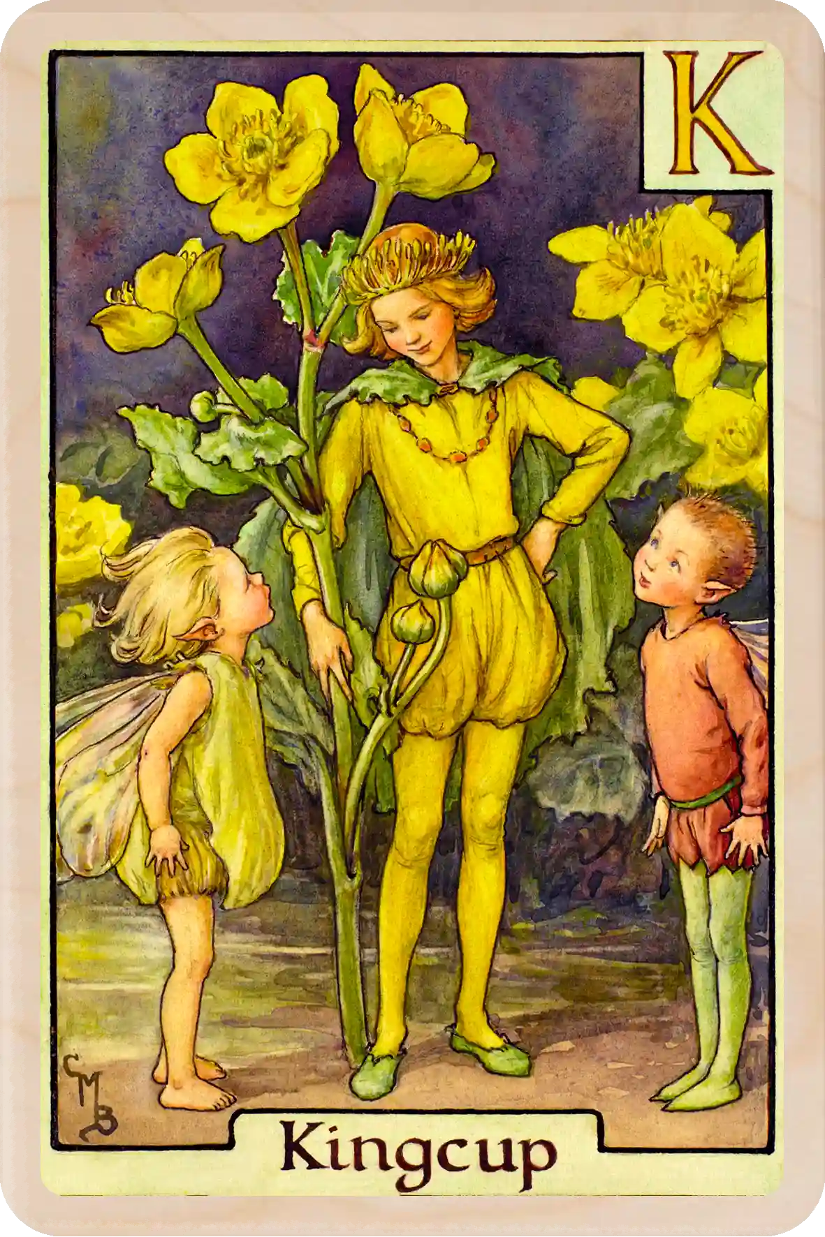 Kingcup Flower Fairy, wooden postcard to send, to gift, or to keep and display. The Wooden Postcard Company