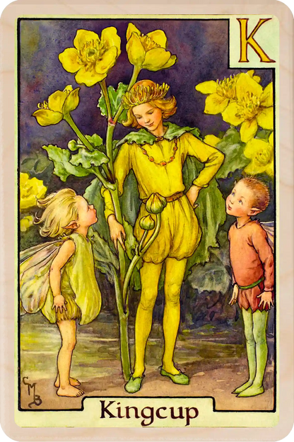 Kingcup Flower Fairy, wooden postcard to send, to gift, or to keep and display. The Wooden Postcard Company