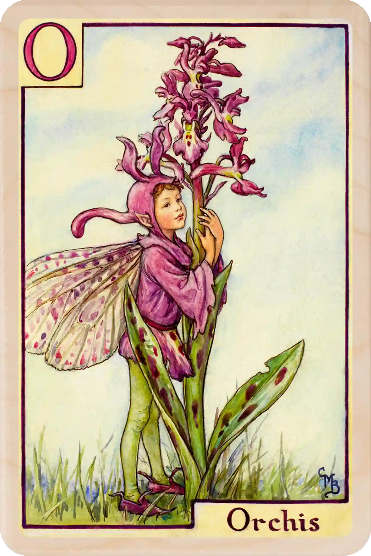 Orchis Flower Fairy™ Cicely Mary Barker