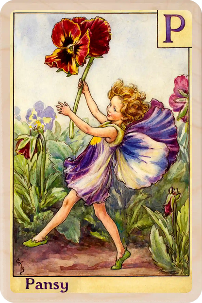 Pansy Flower Fairy, wooden postcard to send, to gift, or to keep and display. The Wooden Postcard Company