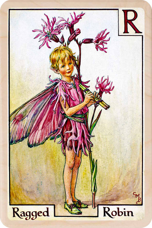 R - Ragged Robin – Alphabet Flower Fairies™ Wooden Postcard
Original Flower Fairies™ illustration by Cicely Mary Barker, printed in Suffolk on sustainable wood