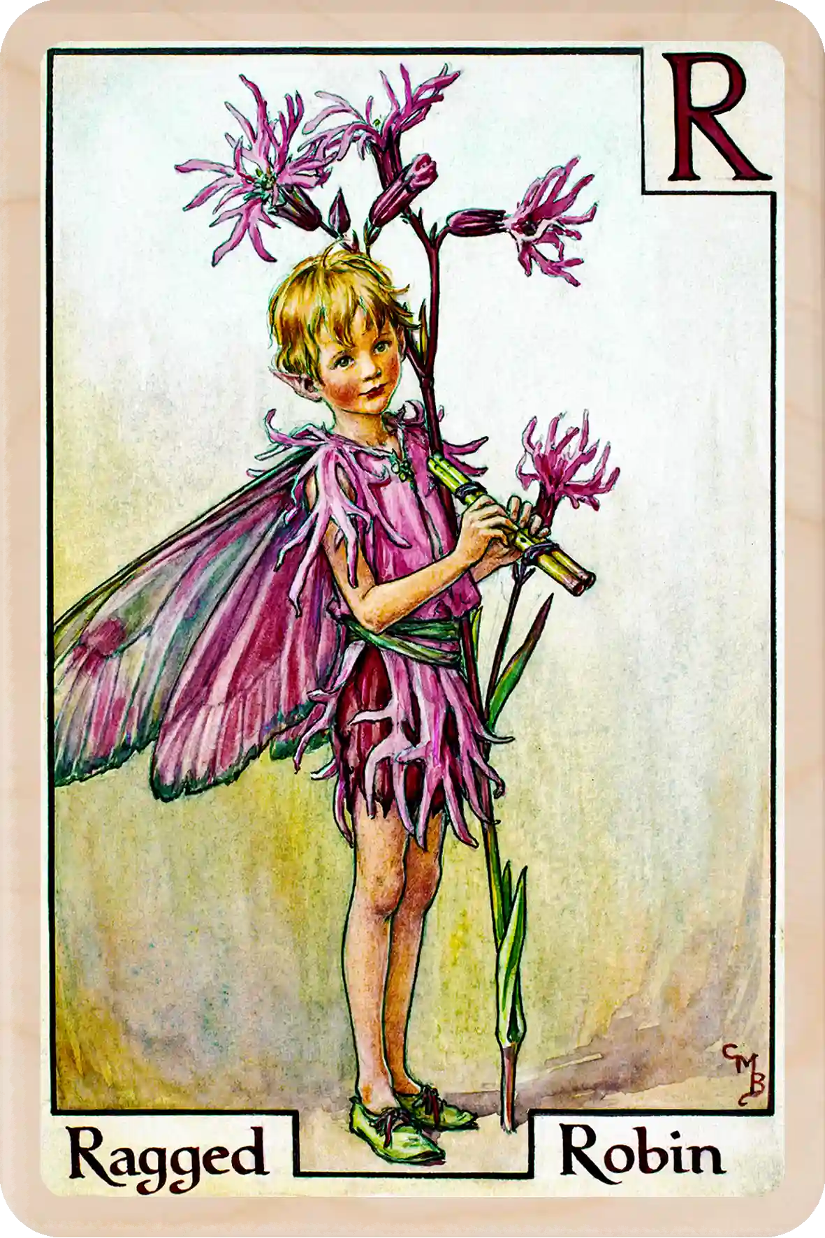 Ragged Robin Flower Fairy, wooden postcard to send, to gift, or to keep and display. The Wooden Postcard Company