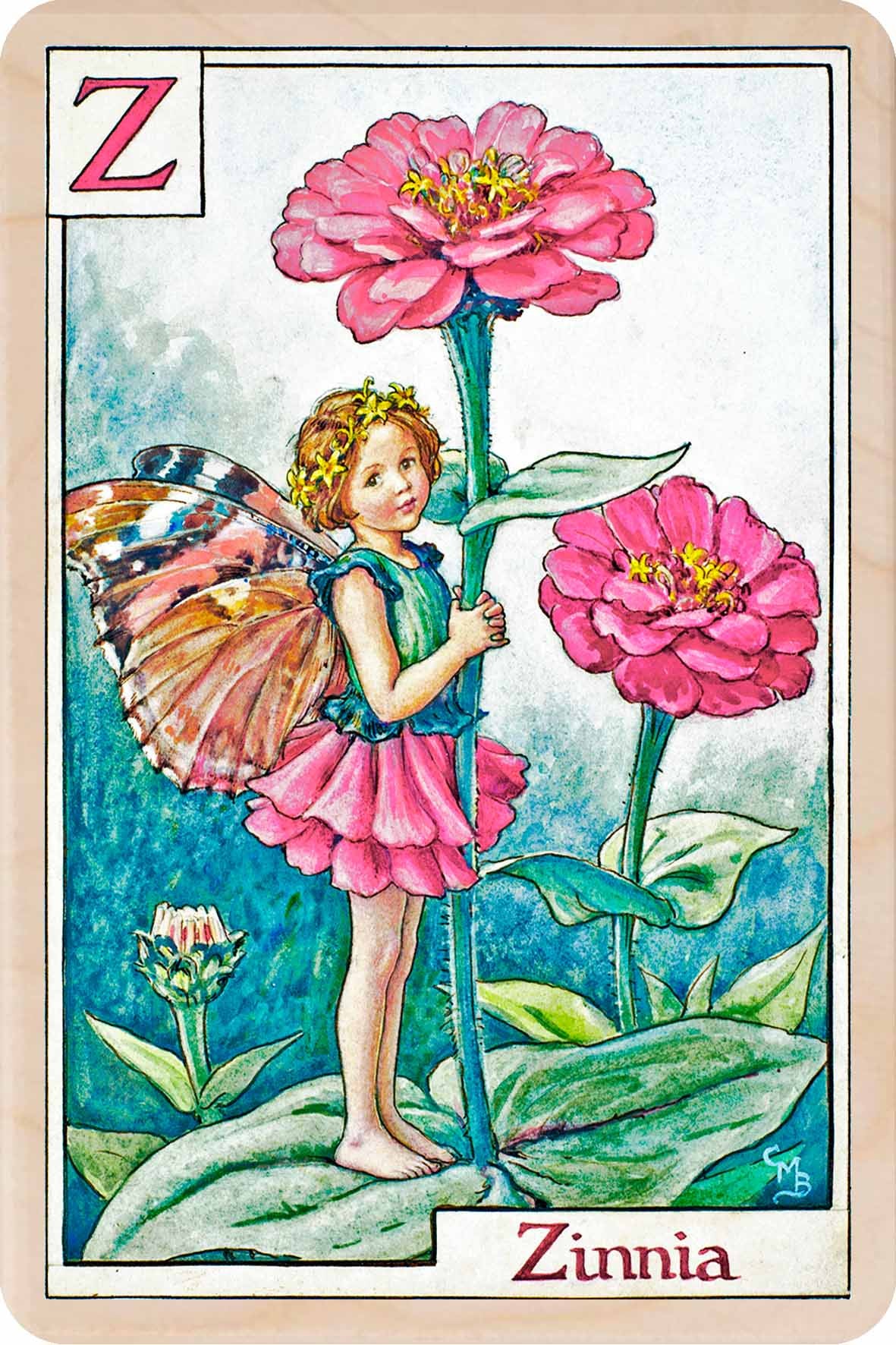 Z ZINNIA FAIRY