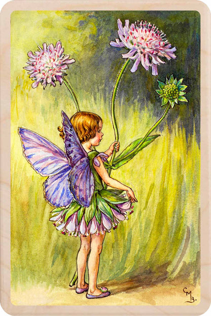 Scabious Fairy by Cicely Mary Barker. Printed with vibrant colour and fine detail. Made to send, keep, or collect. Handmade in the UK since 2012.