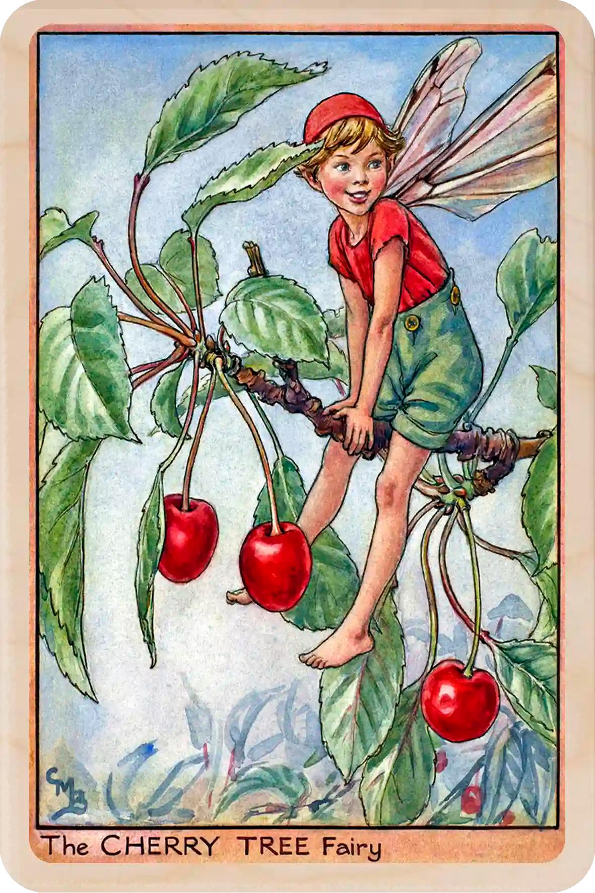 Cherry Tree Fairy, Cicely Mary Barker’s classic botanical illustration. The Wooden Postcard Company