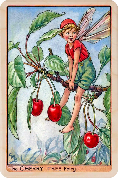 Cherry Tree Fairy, Cicely Mary Barker’s classic botanical illustration. The Wooden Postcard Company