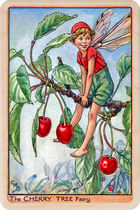 Cherry Tree Fairy, Cicely Mary Barker’s classic botanical illustration. The Wooden Postcard Company