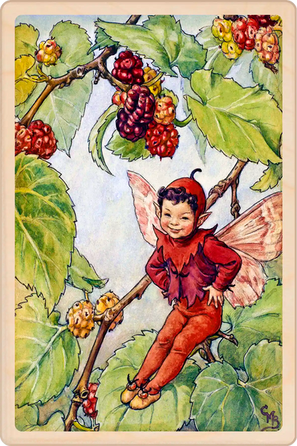 Mulberry Tree Fairy, Cicely Mary Barker’s classic botanical illustration. The Wooden Postcard Company