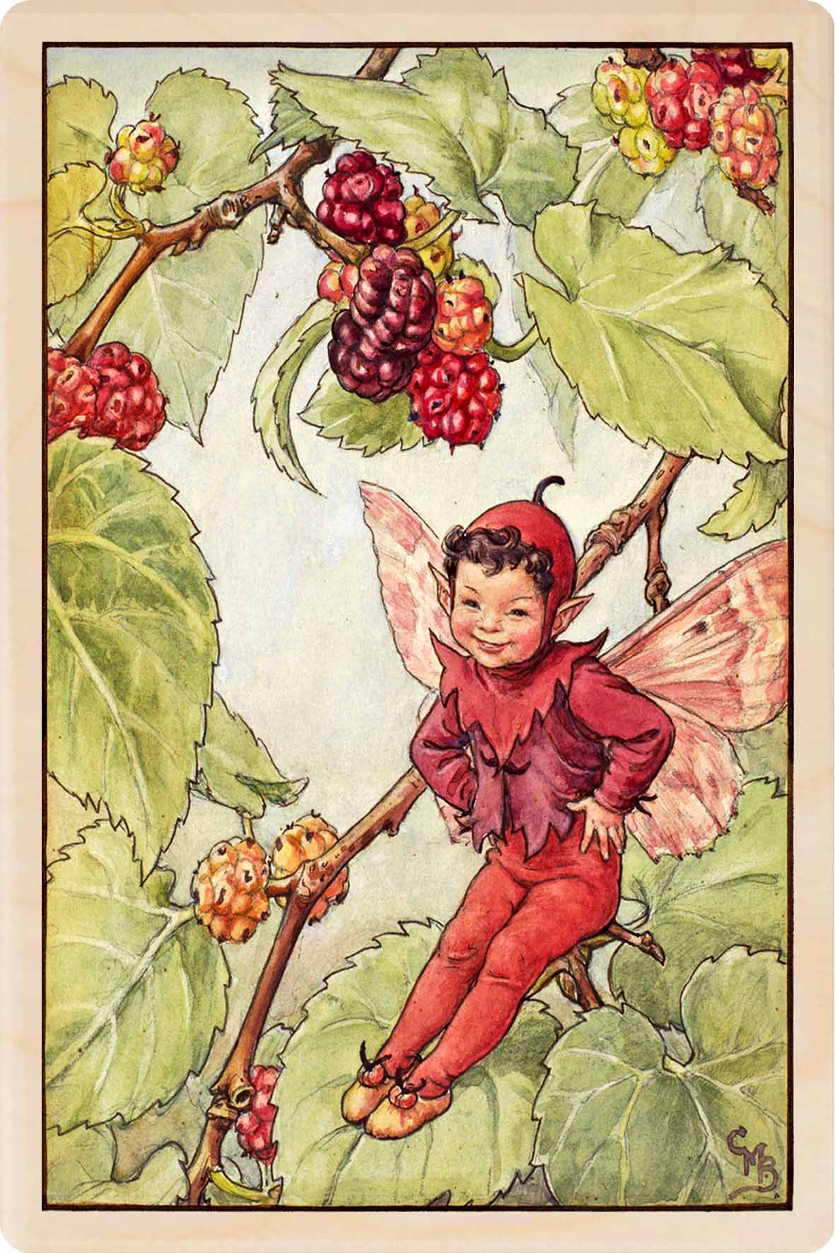 MULBERRY FAIRY