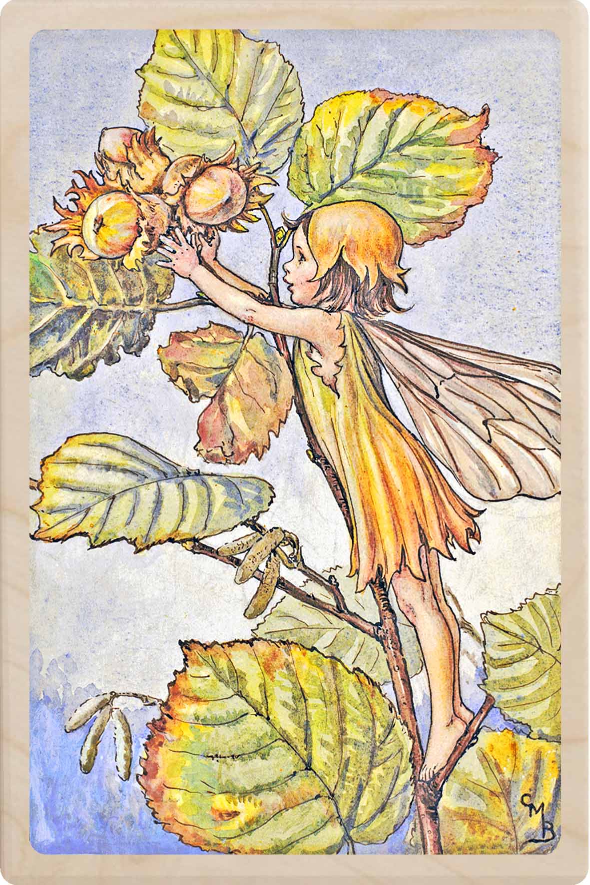 HAZEL NUT FAIRY