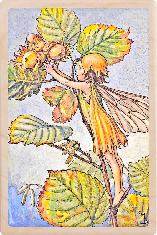 HAZEL NUT FAIRY