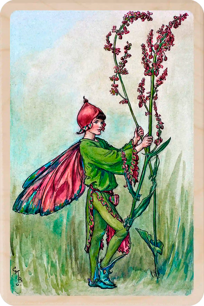 Sorrel Fairy