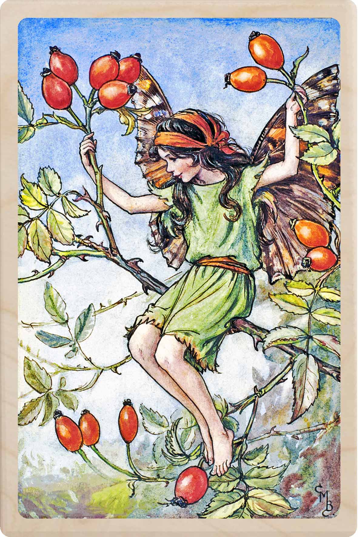 ROSEHIP FAIRY