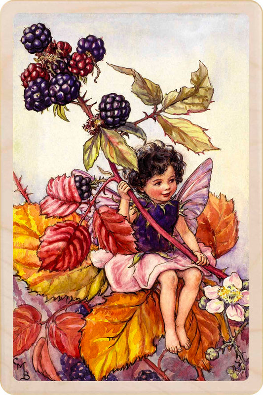 Illustration of a fairy sitting on a branch with blackberries and autumn leaves. The Blackberry Fairy - Sustainable Card - Wooden Postcard&nbsp;
Original Flower Fairies™ illustration by Cicely Mary Barker, printed in Suffolk on sustainable wood. Made to send, keep, or display—an eco-friendly keepsake for fairy fans, garden lovers, and collectors.