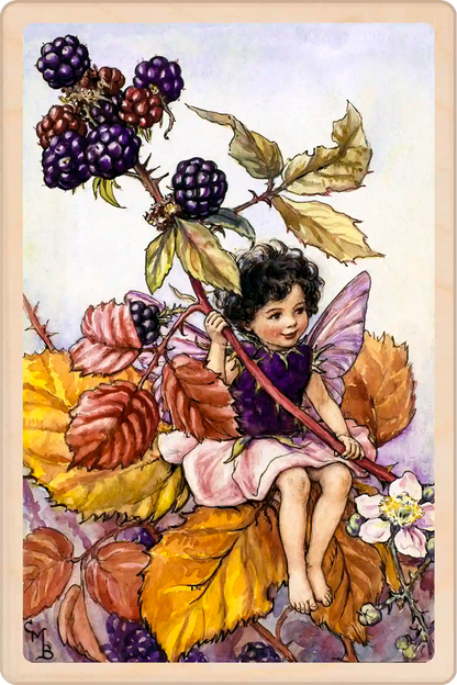 The Blackberry Flower Fairy, wooden postcard to send, to gift, or to keep and display. Cicely Mary Barker's original illustration from Flower Fairies of the Autumn ©The Flower Fairies™. The Wooden Postcard Company