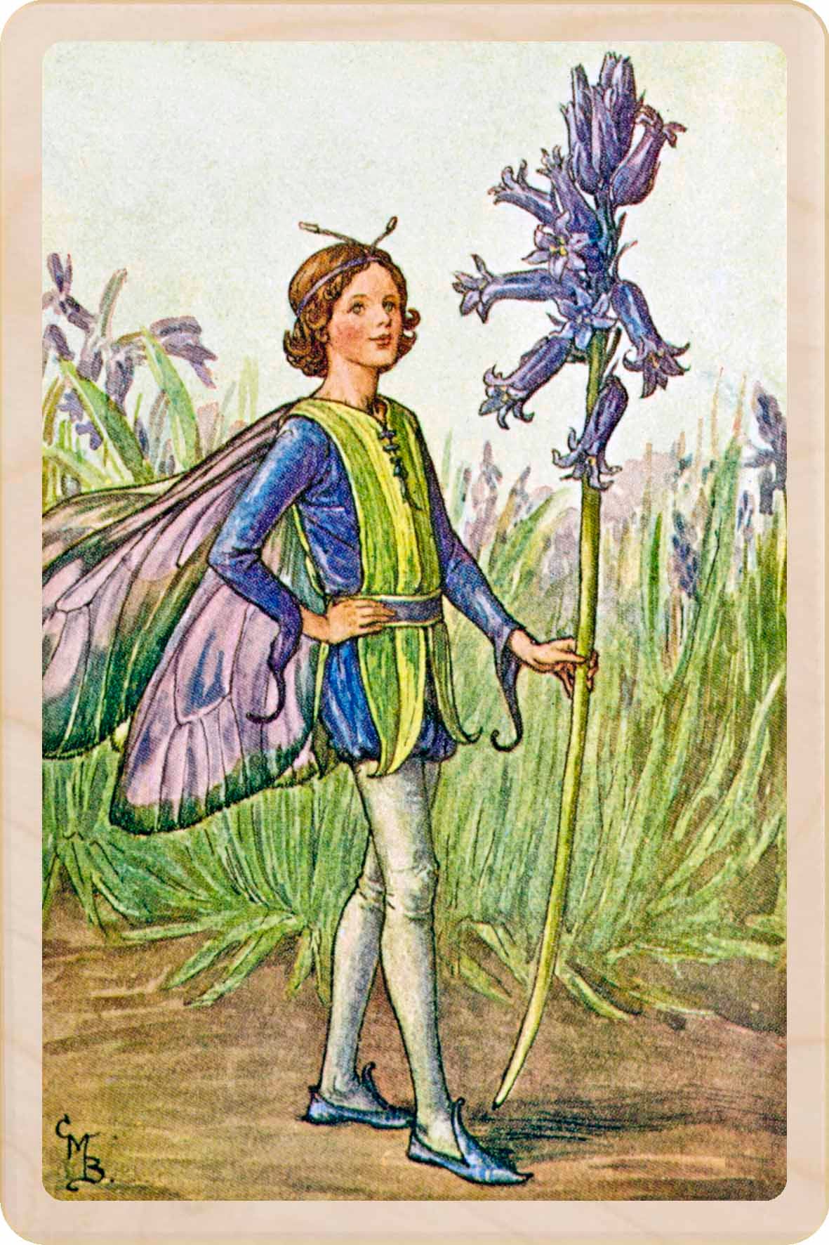 BLUEBELL FAIRY