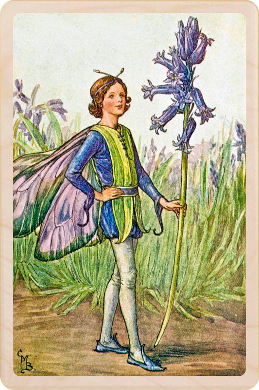 BLUEBELL FAIRY