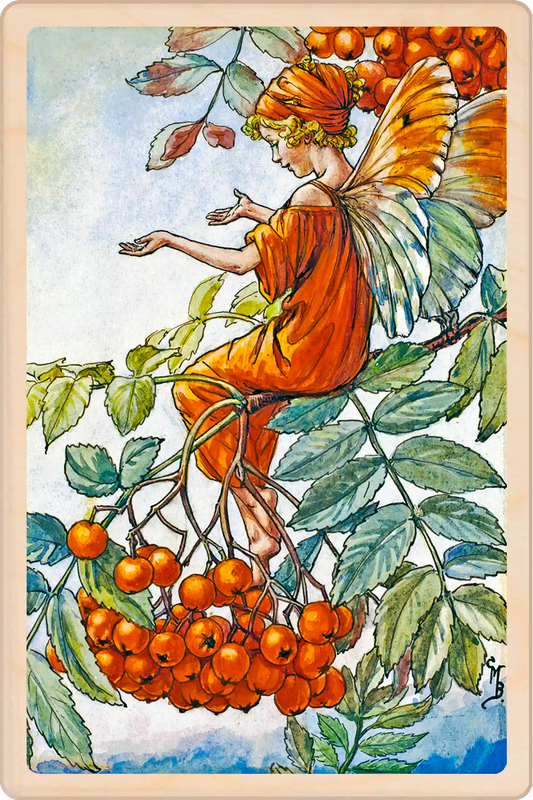 The Mountain Ash Tree Fairy&nbsp;- Sustainable Card - Wooden Postcard&nbsp;
Original Flower Fairies™ illustration by Cicely Mary Barker, printed in Suffolk on sustainable wood. Made to send, keep, or display—an eco-friendly keepsake for fairy fans, garden lovers, and collectors.

Write on the back with any pen and post worldwide with a standard stamp.