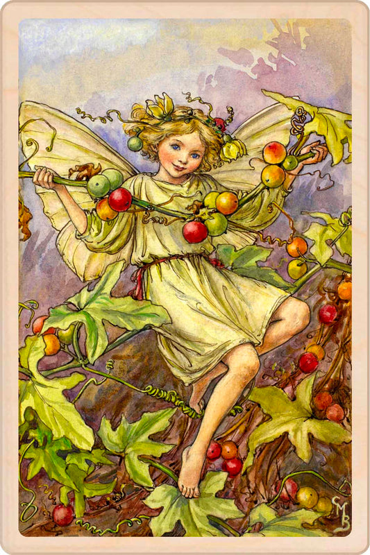 IVY FAIRY