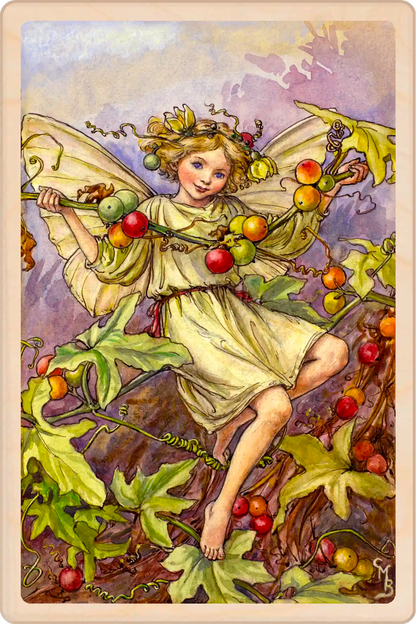 White Bryony Fairy, Cicely Mary Barker, official Winter Flower Fairies wooden Christmas card. The Wooden Postcard Company