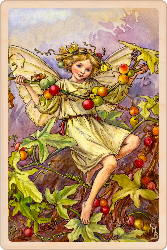 A touch of classic vintage magic to your festive season with the official Ivy Fairy from the iconic Winter Flower Fairies™ collection by Cicely Mary Barker. The Wooden postcard Company