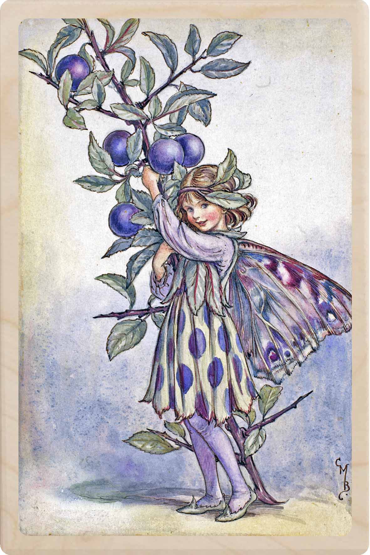 SLOE FAIRY