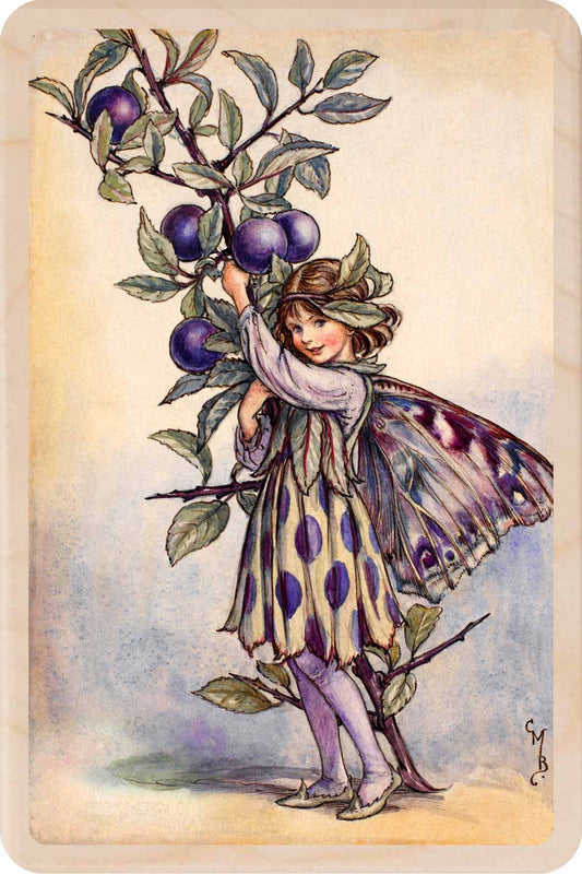 Cicely Mary Barker Sloe Fairy Wooden Postcard – Made in the UK
Original Flower Fairies™ illustration by Cicely Mary Barker, printed in Suffolk on sustainable wood.