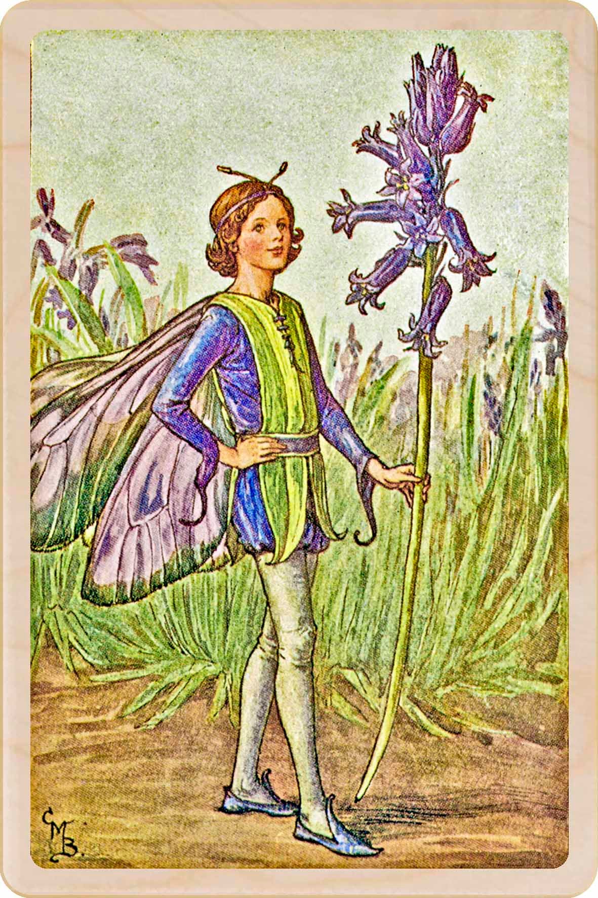 BLUEBELL FAIRY