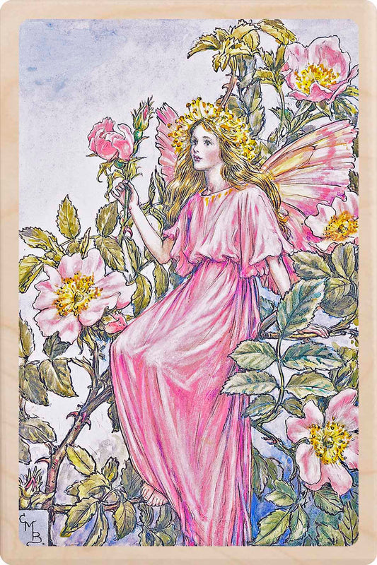 WILD ROSE FAIRY