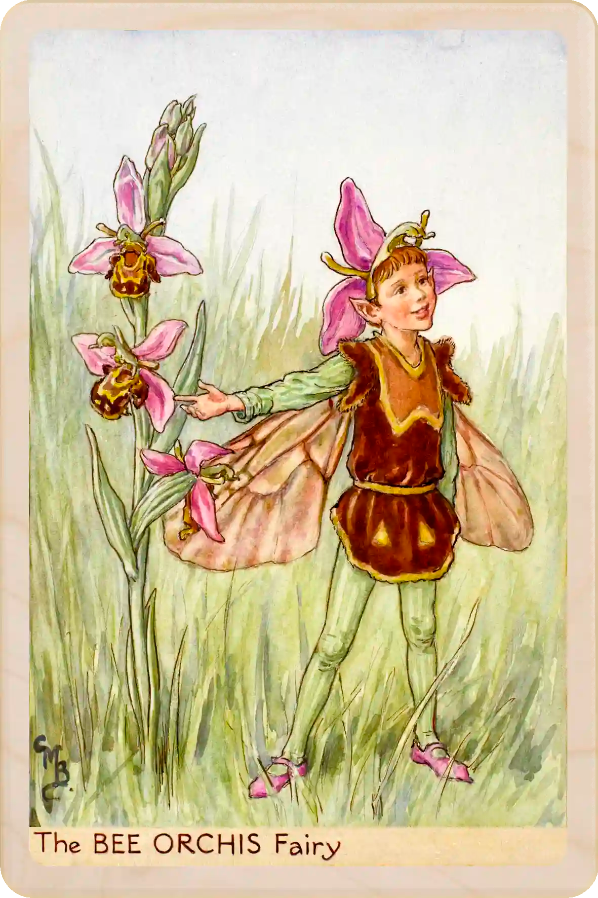 Bee Orchis Fairy