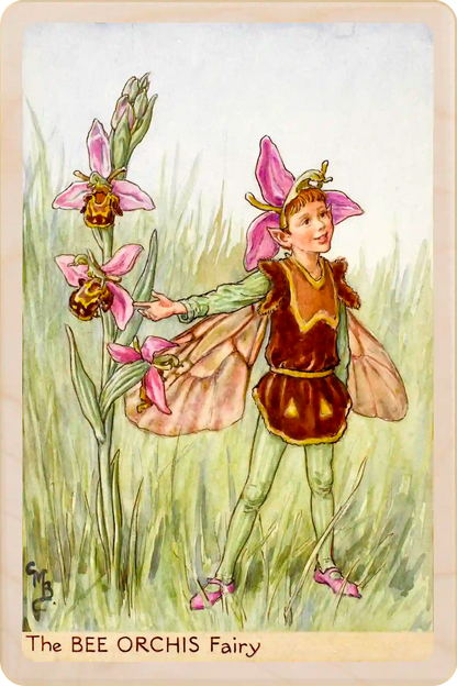 Bee Orchis Fairy