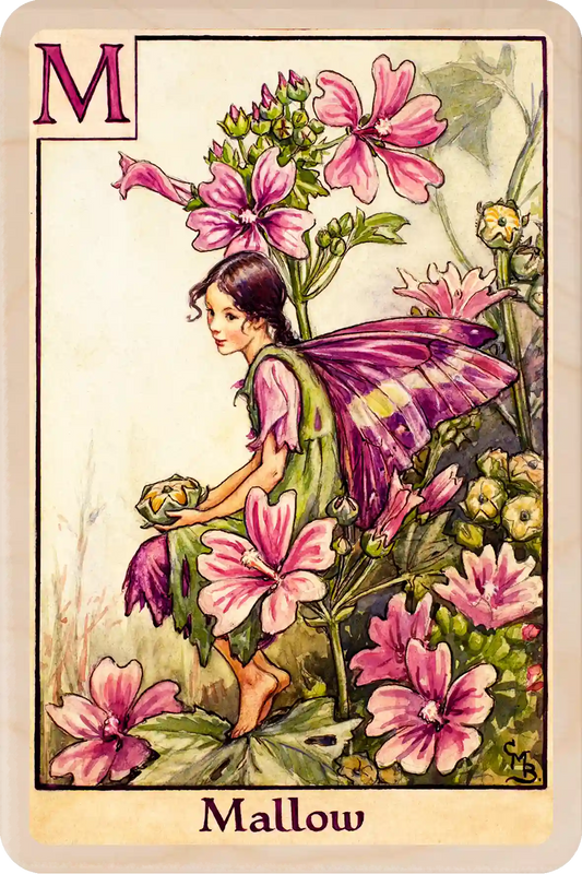 FM Mallow Fairy: Alphabet Flower Fairies™ Wooden Postcard
Original Flower Fairies™ illustration by Cicely Mary Barker, printed in Suffolk on sustainable wood. Part of the Alphabet Fairy collection to send, gift and display.