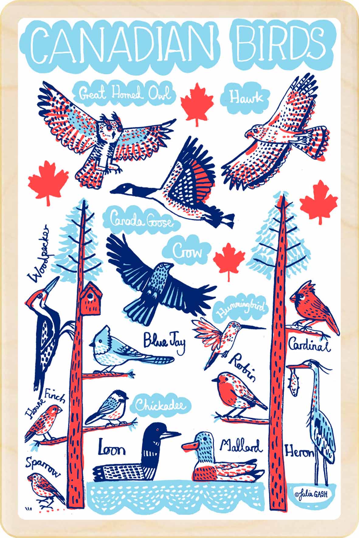 CANADIAN BIRDS