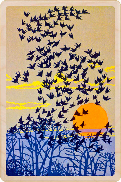 STARLINGS