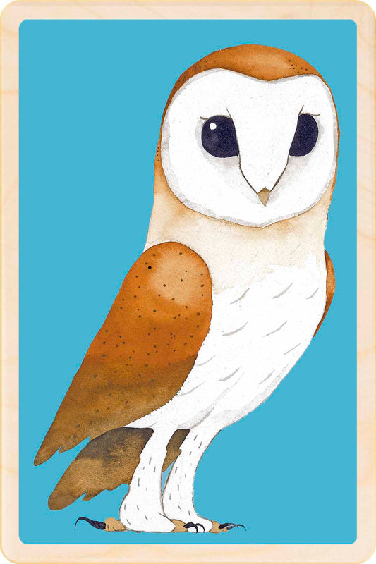 owl - bird Illustration wooden postcard by Matt Sewell