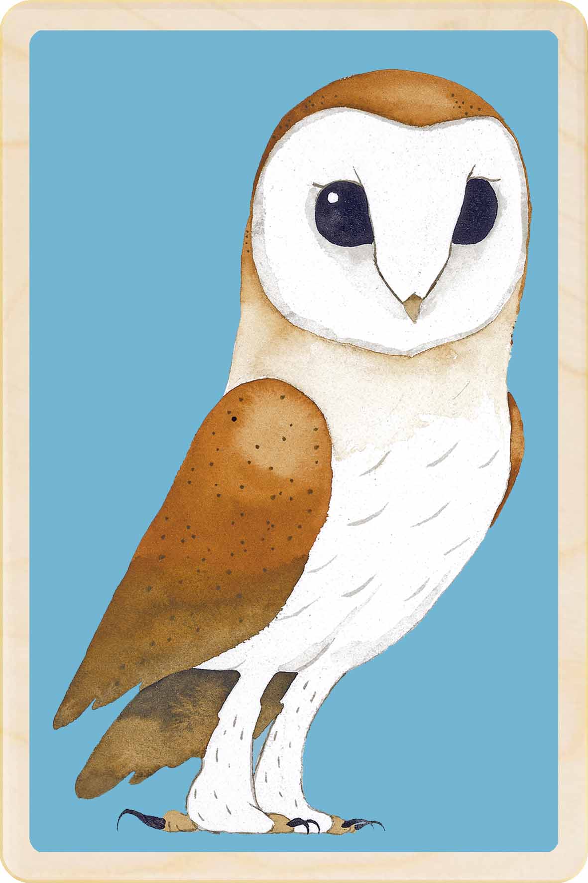 Barn Owl wooden postcard by Matt Sewell