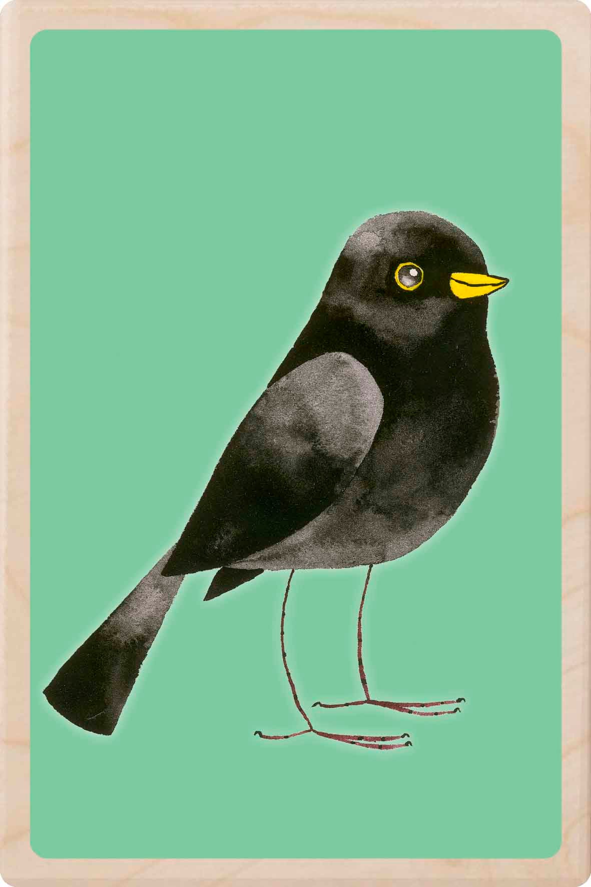 blackbird - bird Illustration wooden postcard by Matt Sewell