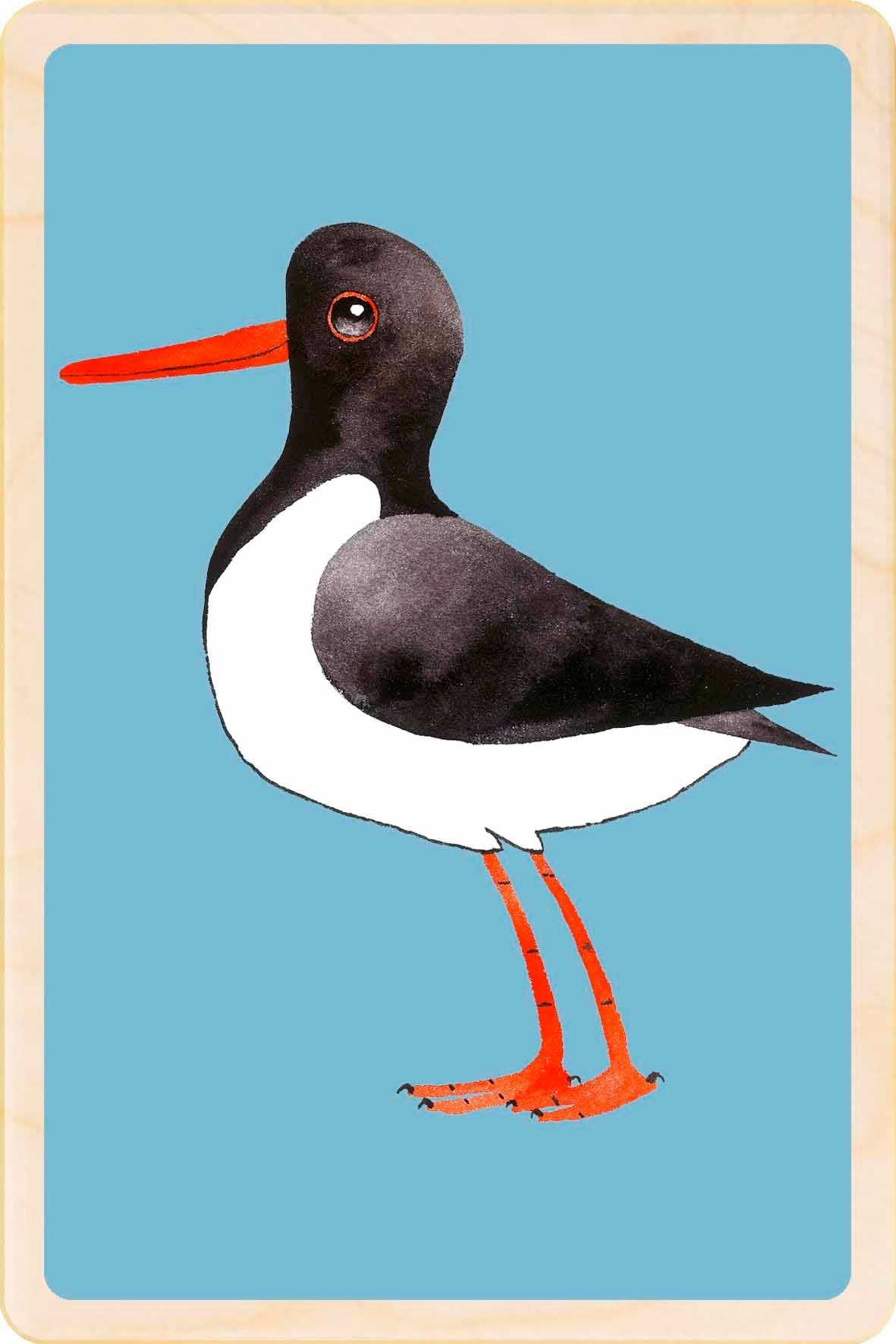 Oystercatcher wooden postcard by Matt Sewell