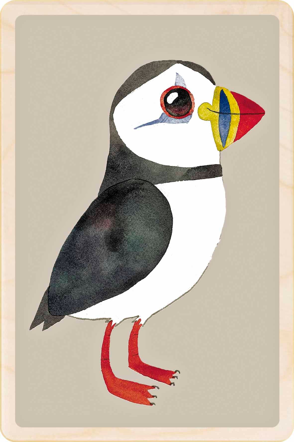 puffin - bird Illustration wooden postcard by Matt Sewell