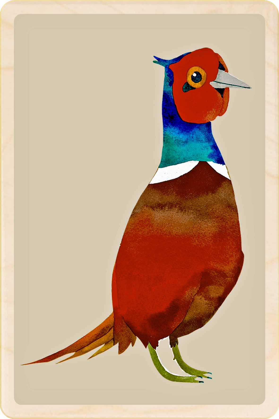 pheasant - bird Illustration wooden postcard by Matt Sewell